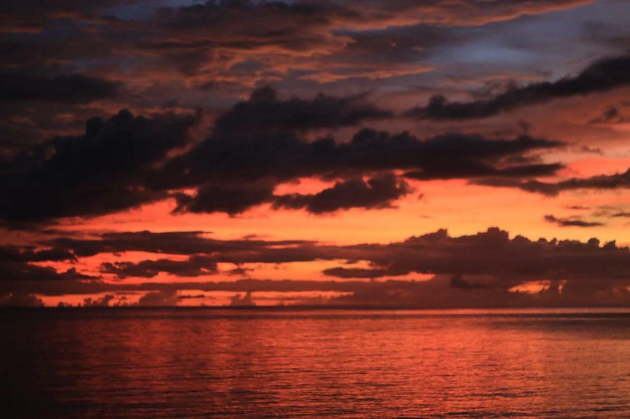 Studio ds résidence sécurisée avec vue&accès à la mer . Le Moule Extérieur photo