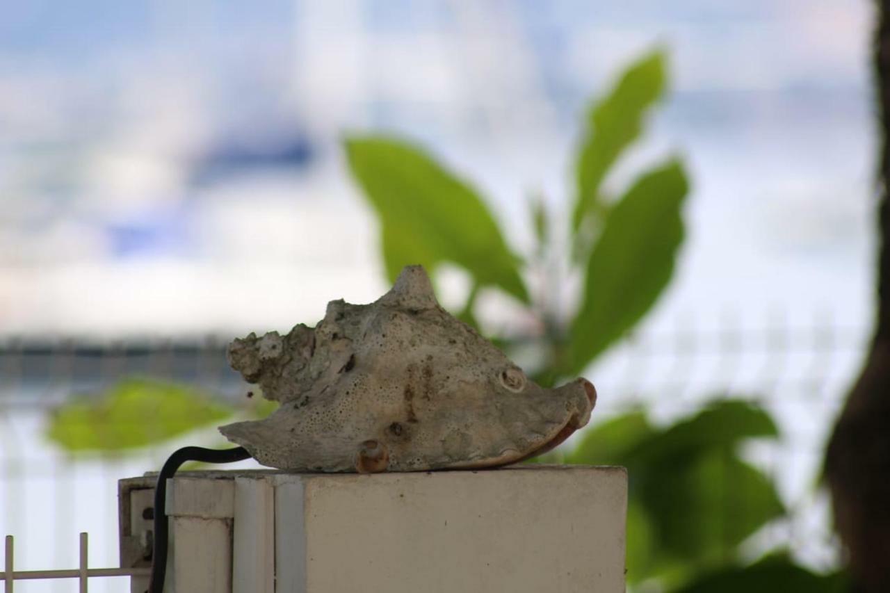Studio ds résidence sécurisée avec vue&accès à la mer . Le Moule Extérieur photo